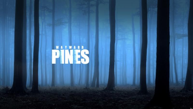 photo Pines_zpscf80a9b3.jpg