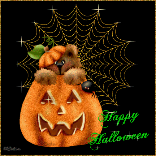 bear pumpkin Pictures, Images and Photos