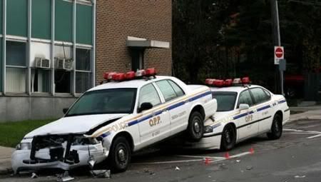 stupidcops.jpg
