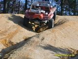 buggy