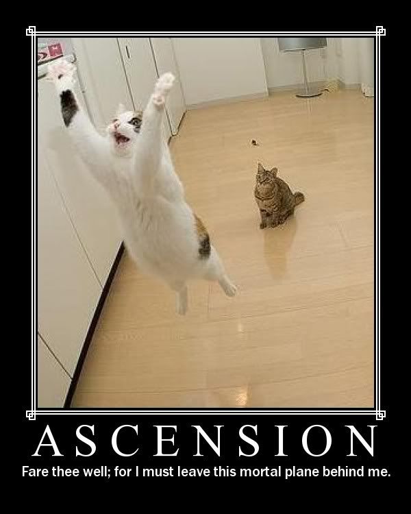 [Image: ascension.jpg]