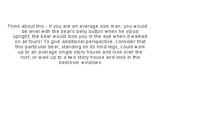 bearstory2.jpg