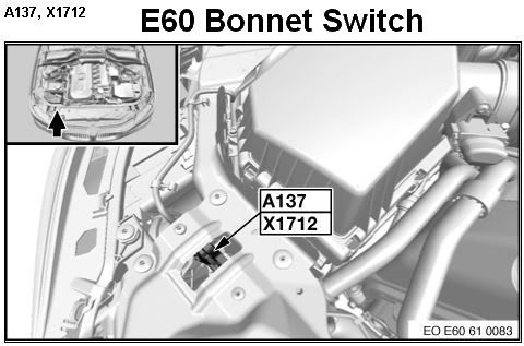 e60bonnetsw.jpg