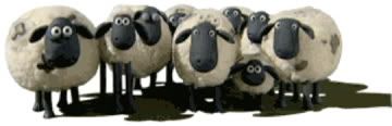 Shaun-Blinking-Flock-Small.jpg