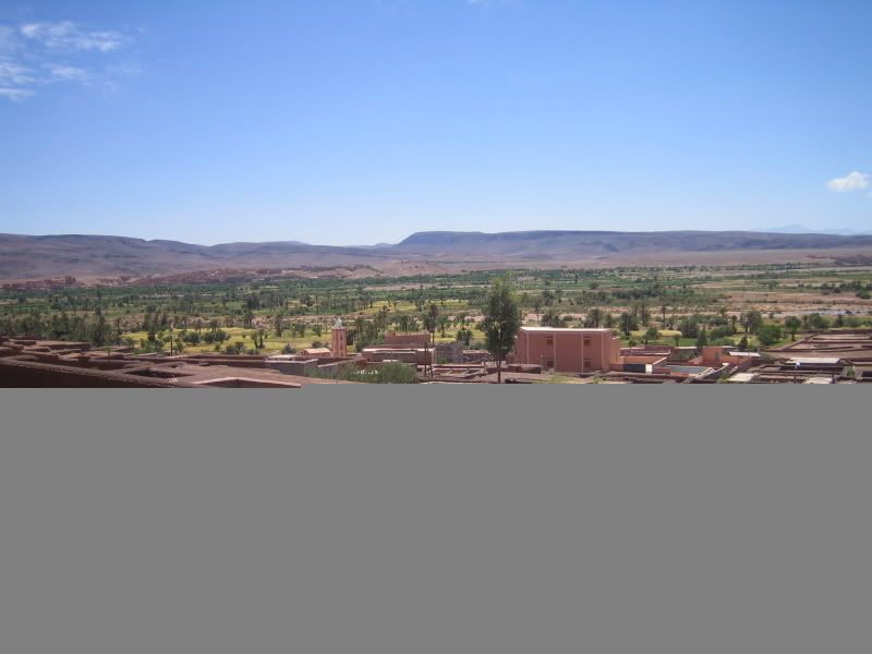 IMG_1260.jpg