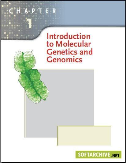 111802_s__introduction_molecul_gene.jpg