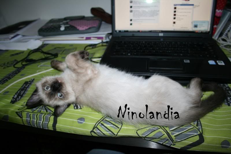Imagem