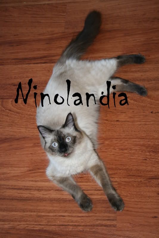 Imagem