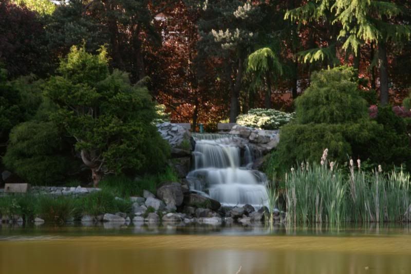 IMAGE: http://i122.photobucket.com/albums/o273/j_r17ca/IMG_2215.jpg