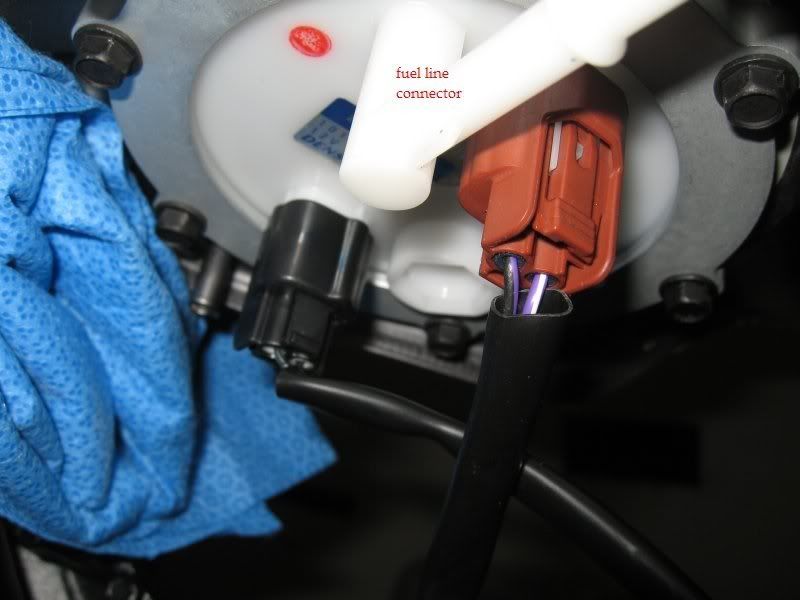 Fuel pump connections | Triumph 675 Forums