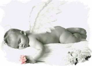 imagenes imagenes