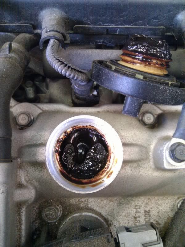 Do change your oil Kia Forum