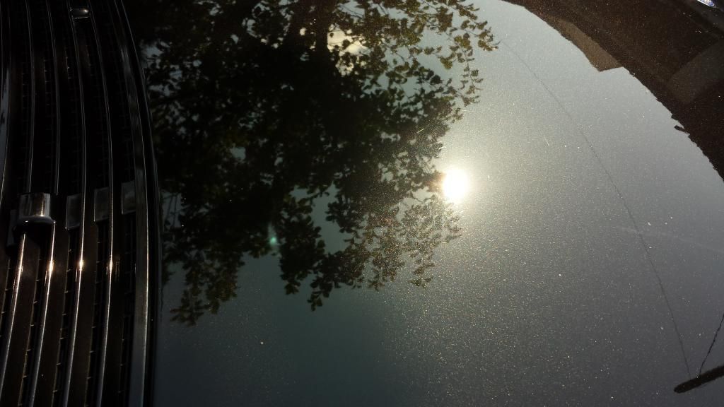 20140806_163525_zpsrmkcwnqi.jpg
