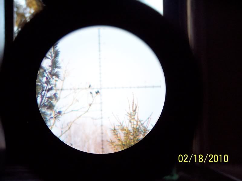 100_3903.jpg