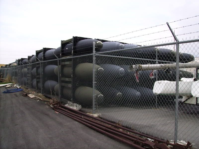 Belly Tank The H.A.M.B.