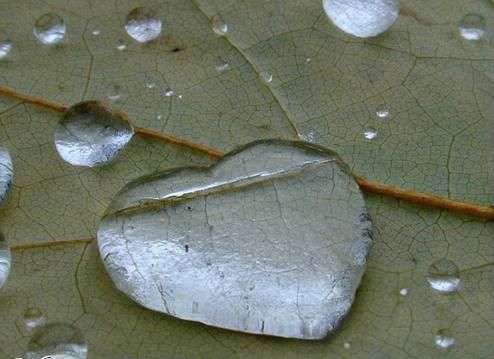 Water+drop+heart