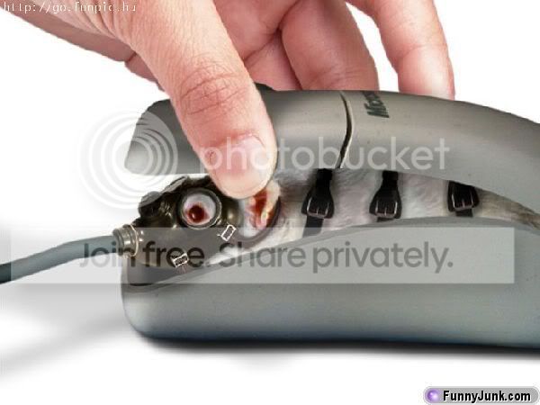 arealmouse.jpg