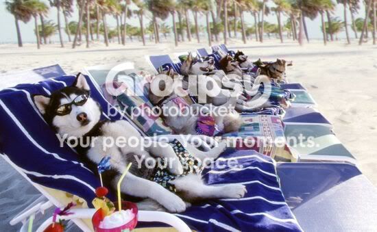 beachbabtm4vk9.jpg