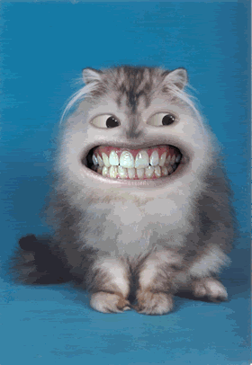 catofdracula.gif