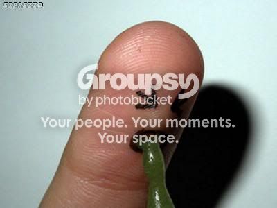 fun_fingers7.jpg