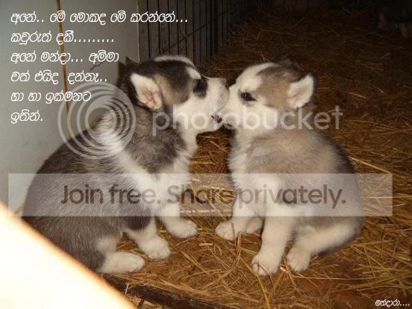 kauruthdakeecopydg1.jpg