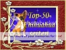 Hier gehts zur Topliste der 50 Besten Chihuahuaseiten