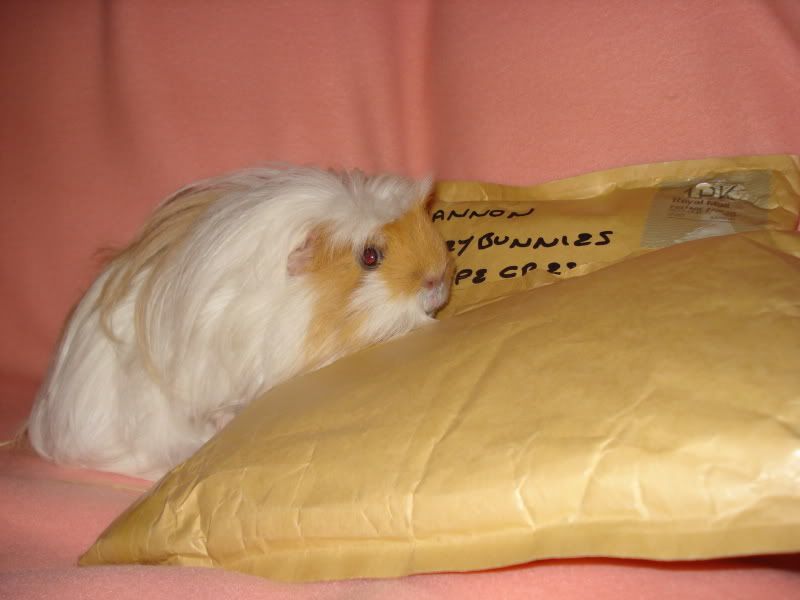 08122010SecretSanta015.jpg