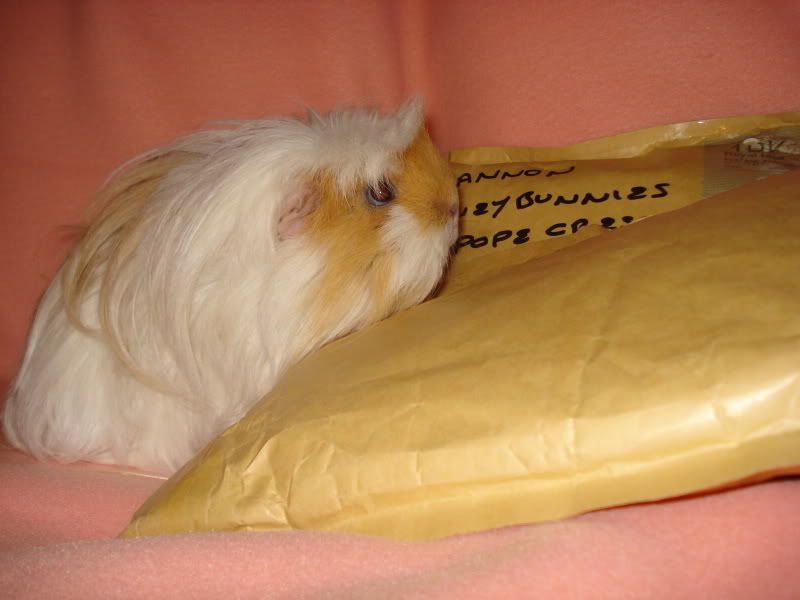 08122010SecretSanta016.jpg