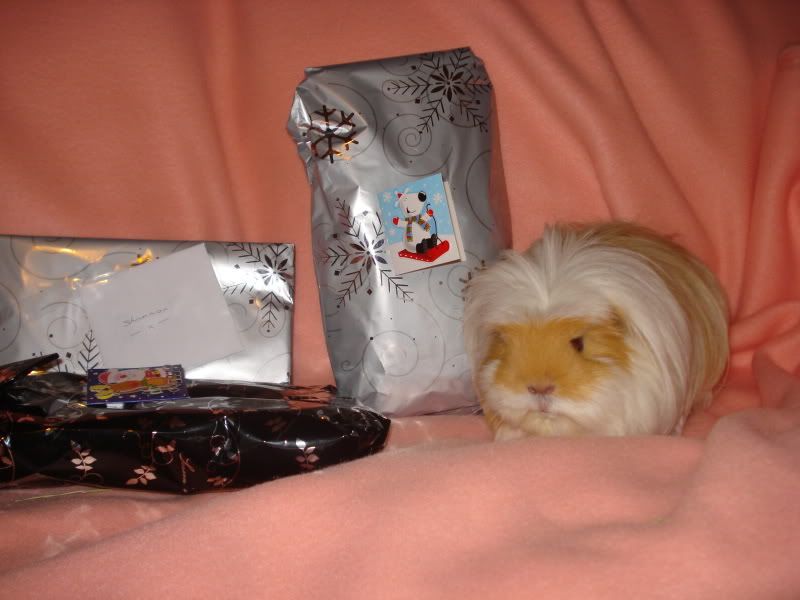 08122010SecretSanta017.jpg