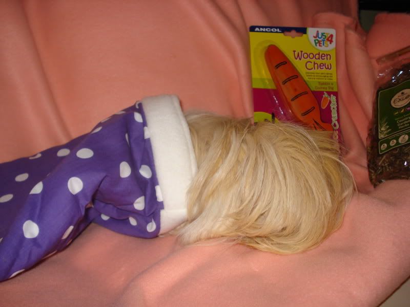 08122010SecretSanta019.jpg
