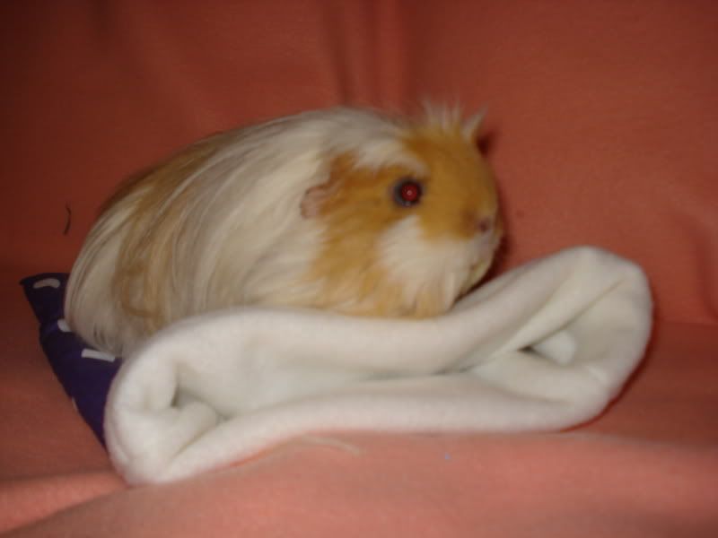 08122010SecretSanta020.jpg
