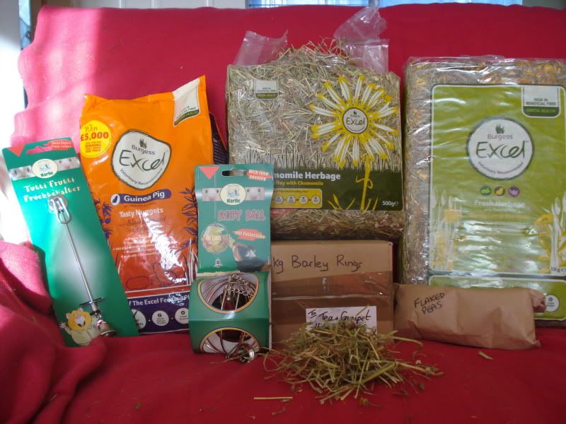 17Dec2010SecretSanta005.jpg