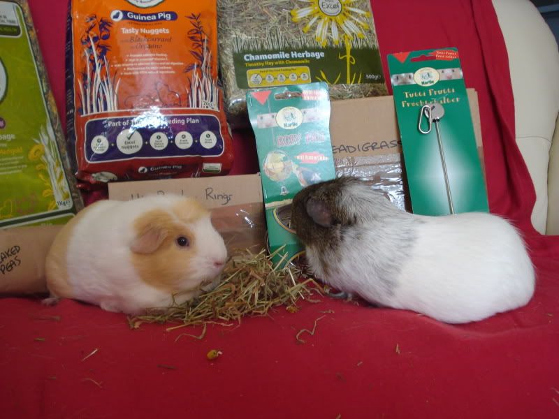 17Dec2010SecretSanta006.jpg