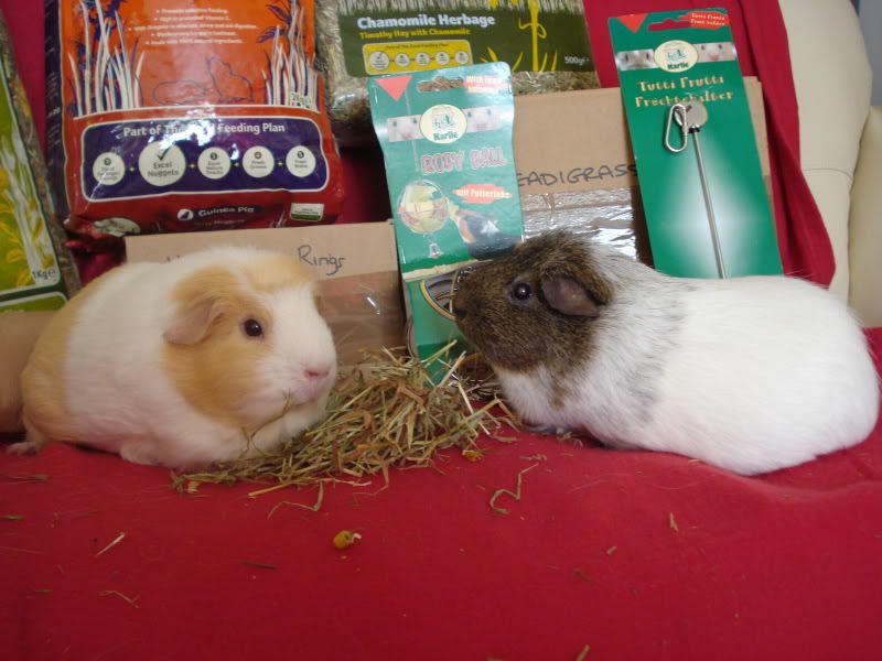 17Dec2010SecretSanta007.jpg
