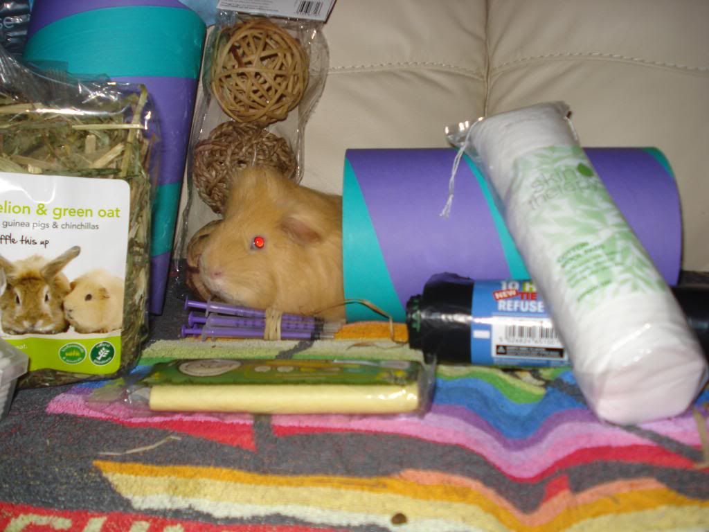 DSC01539_zpsc022acaa.jpg
