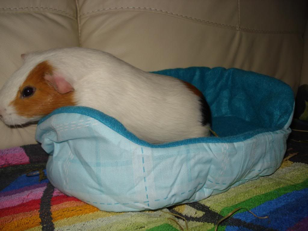 DSC01544_zps90cbb297.jpg