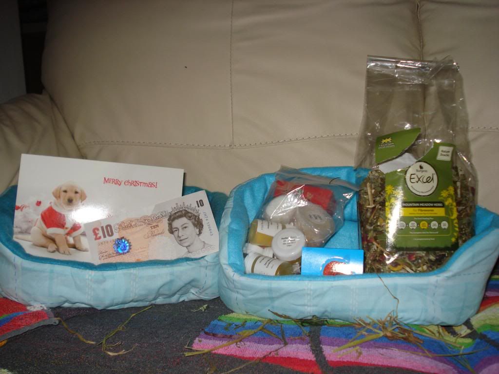 DSC01545_zps60246252.jpg