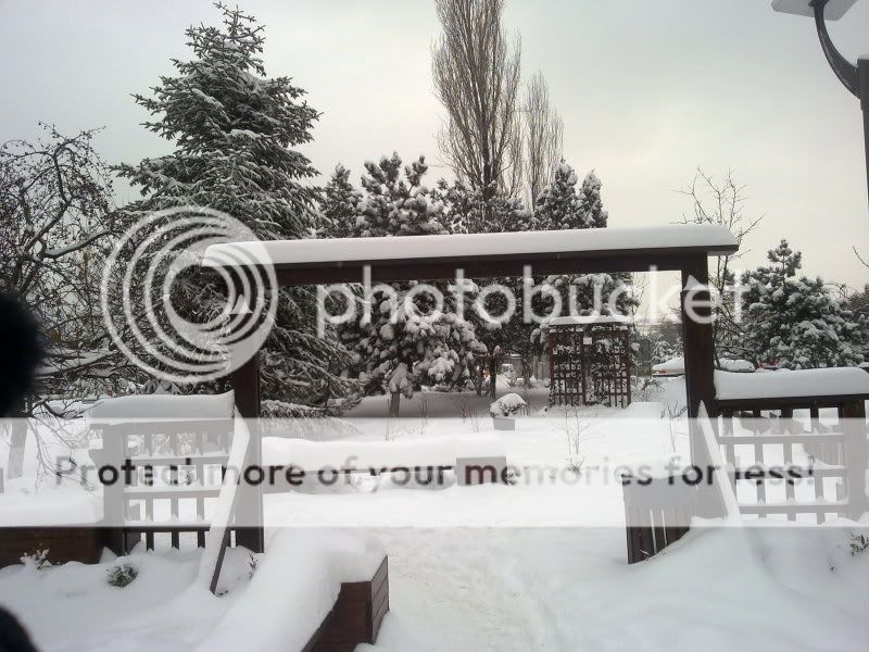 Iarna in Bucuresti