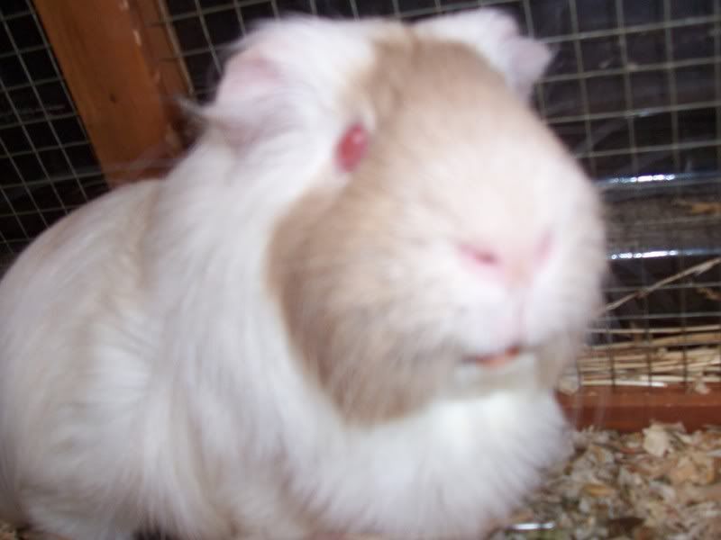 Picture070.jpg