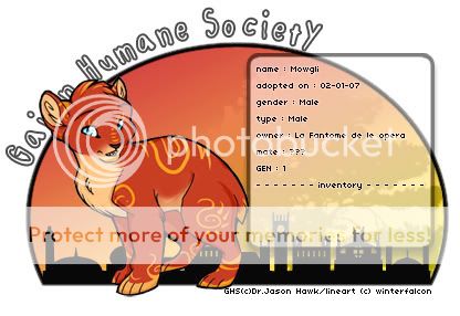 User Image